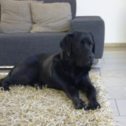 zeitlose Architektur, �ffentliche Bauten, Planungsb�ro, Architekt, Stuttgart